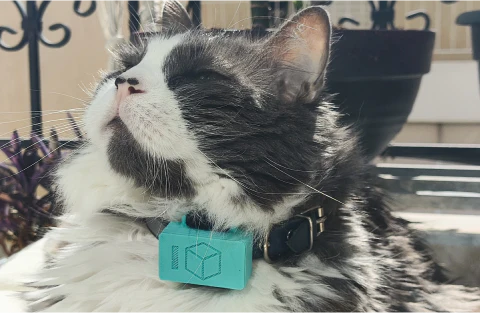 Συσκευή Εντοπισμού - P-box Smol GPS και Activity Tracker