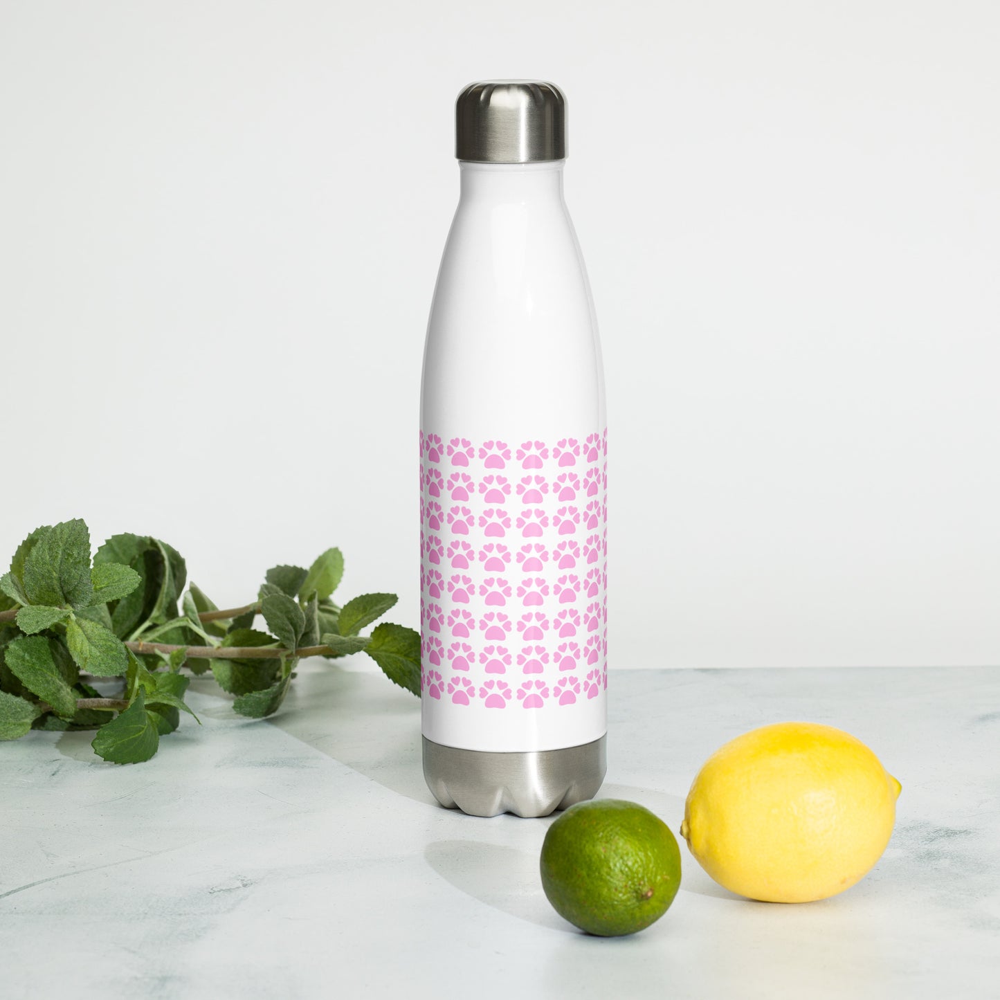 Stainless Steel Water Bottle