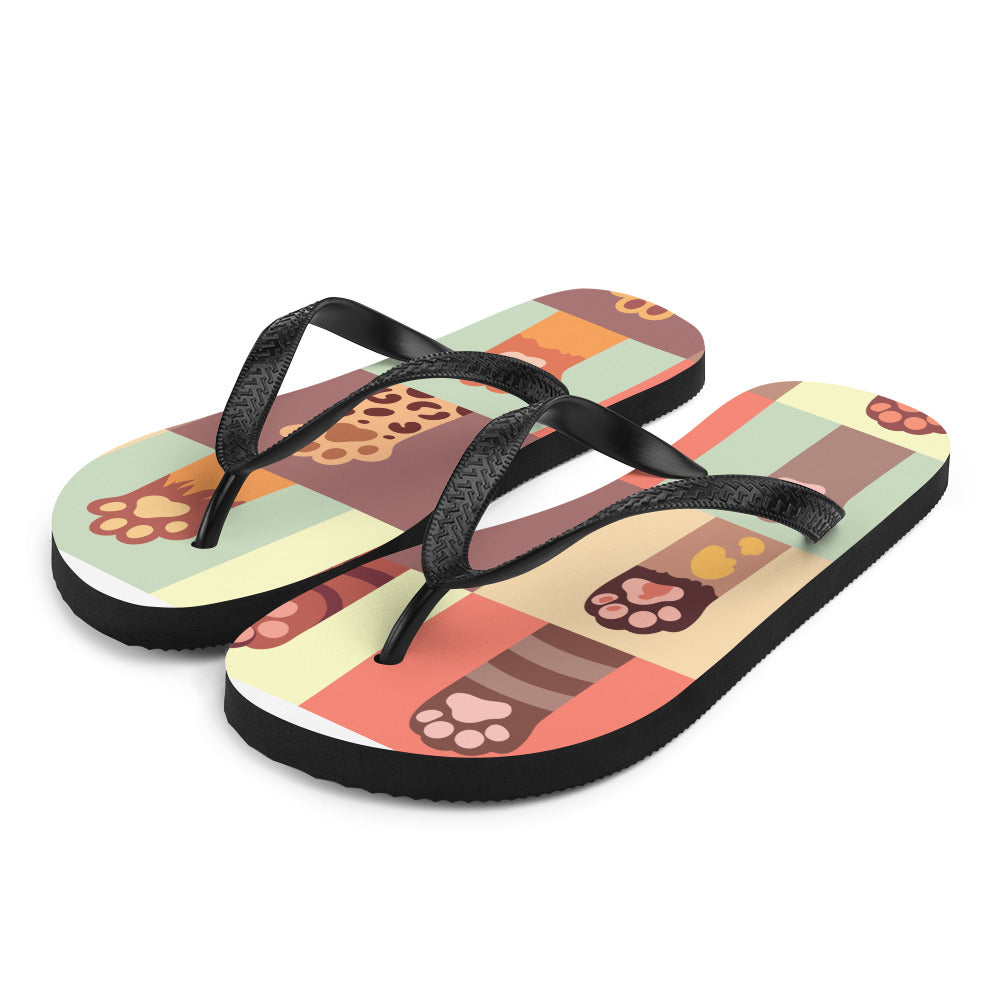 Flip-Flops